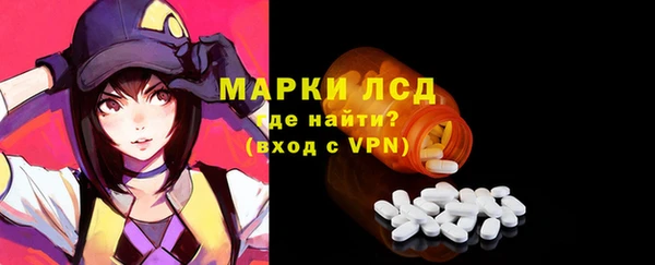apvp Дмитров